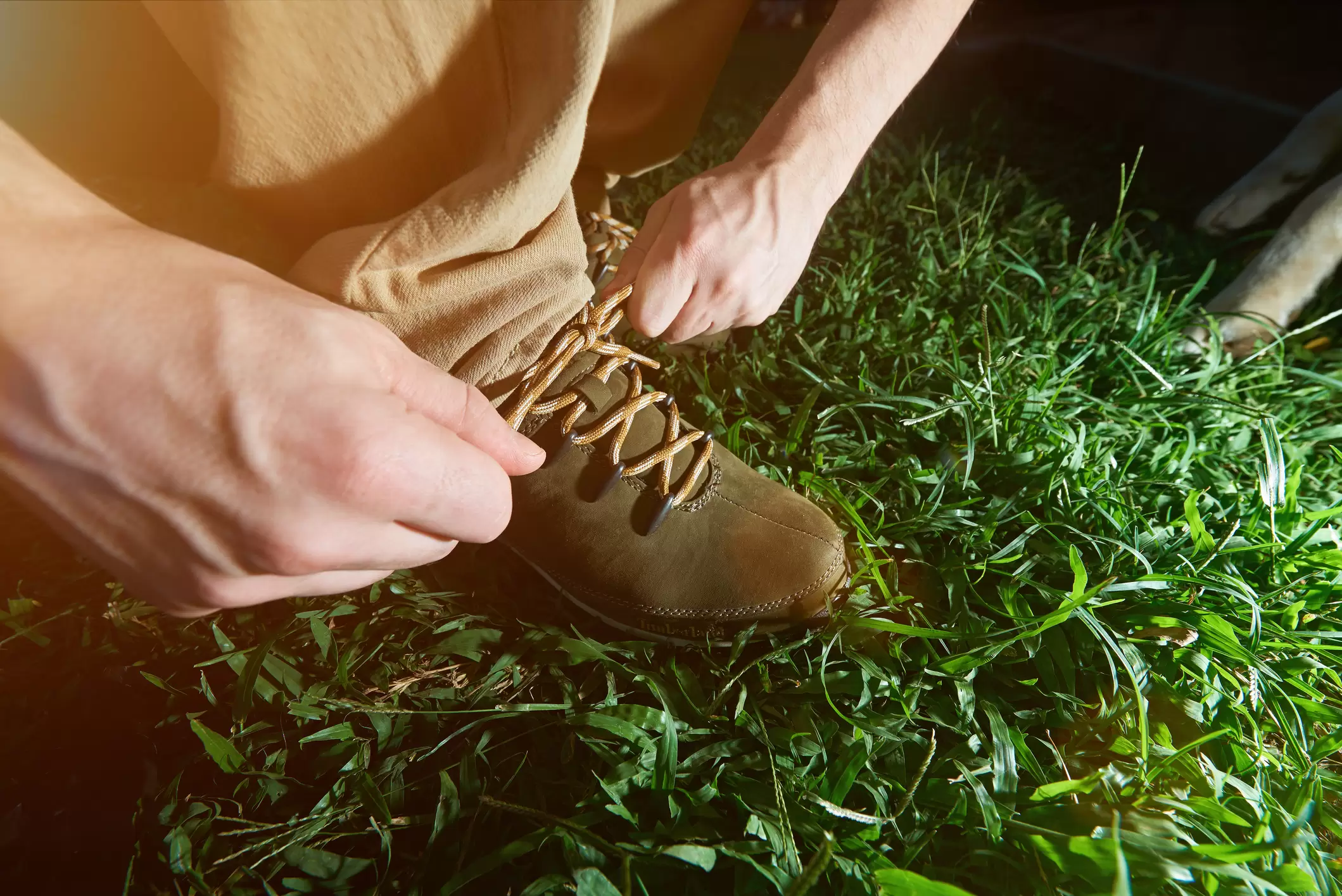 Quelles chaussures pour le Chemin de Saint-Jacques ?