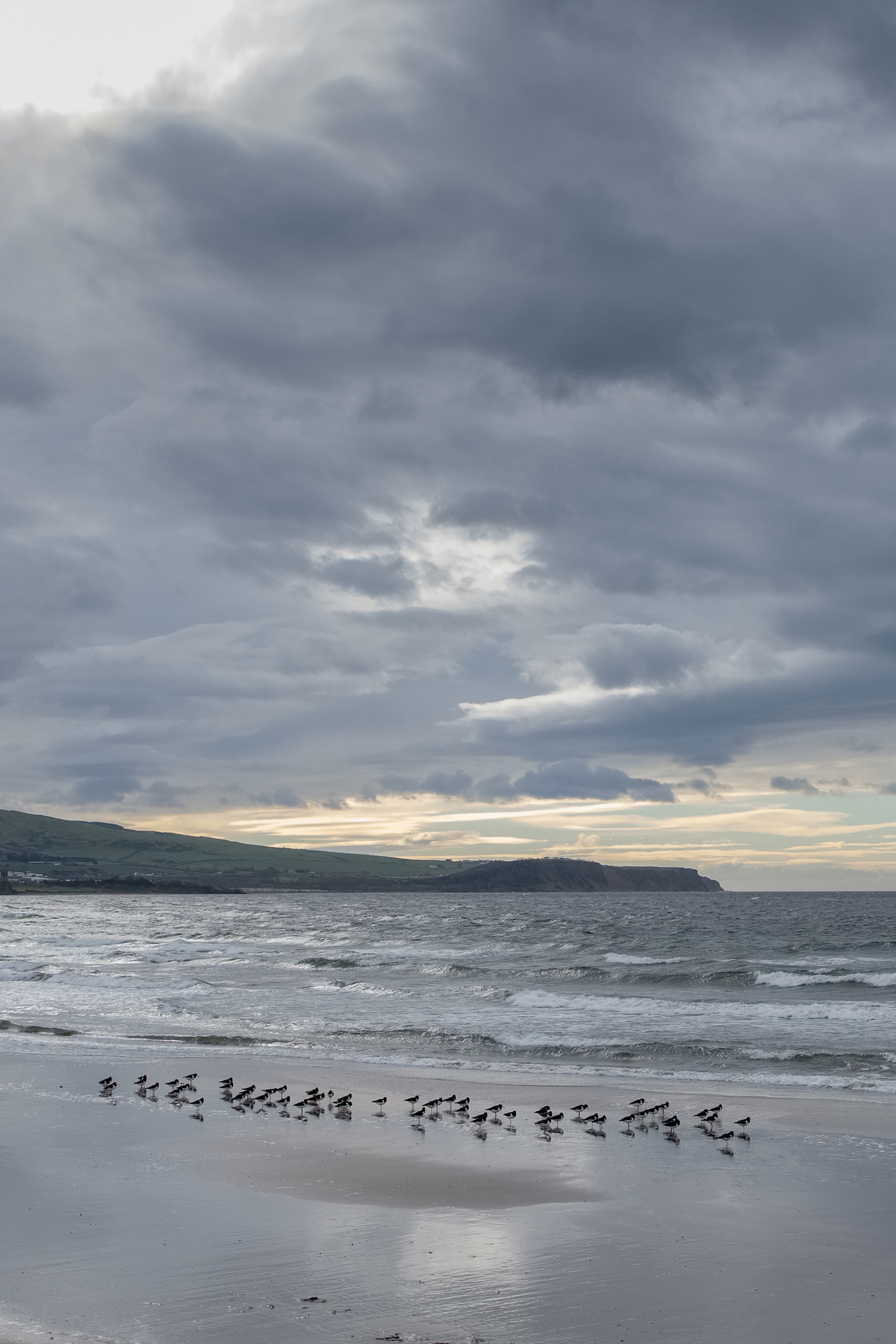 Que visiter à Ayr en un jour ?