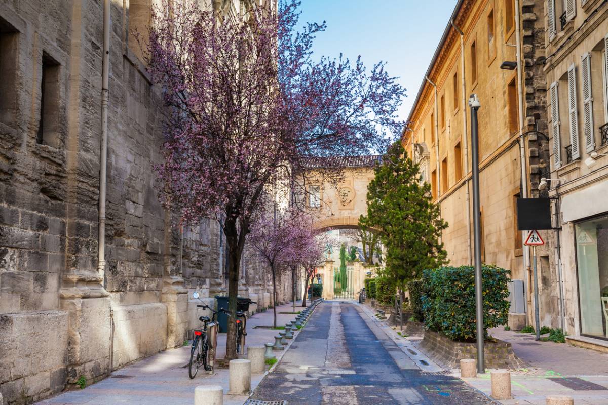 Séjour à Avignon : la mobilité douce pour explorer la ville