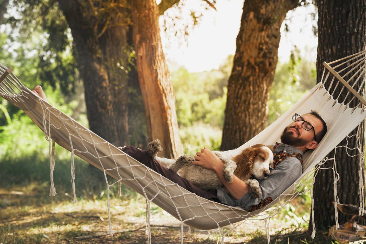 Comment passer d&rsquo;agréables vacances au camping avec votre animal de compagnie ?