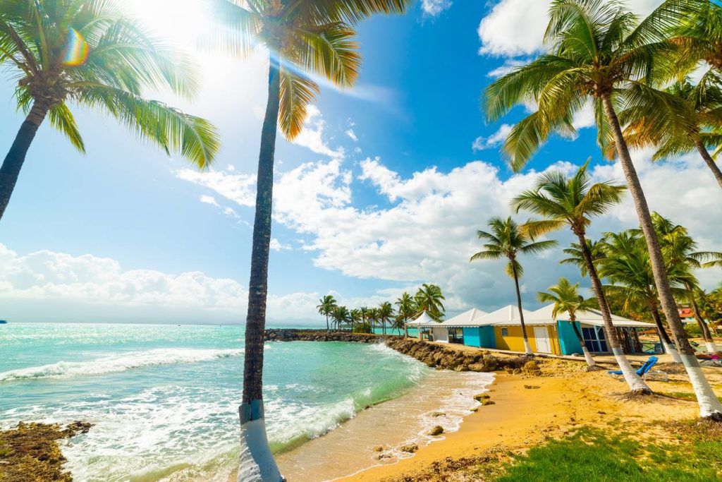 plage de Guadeloupe