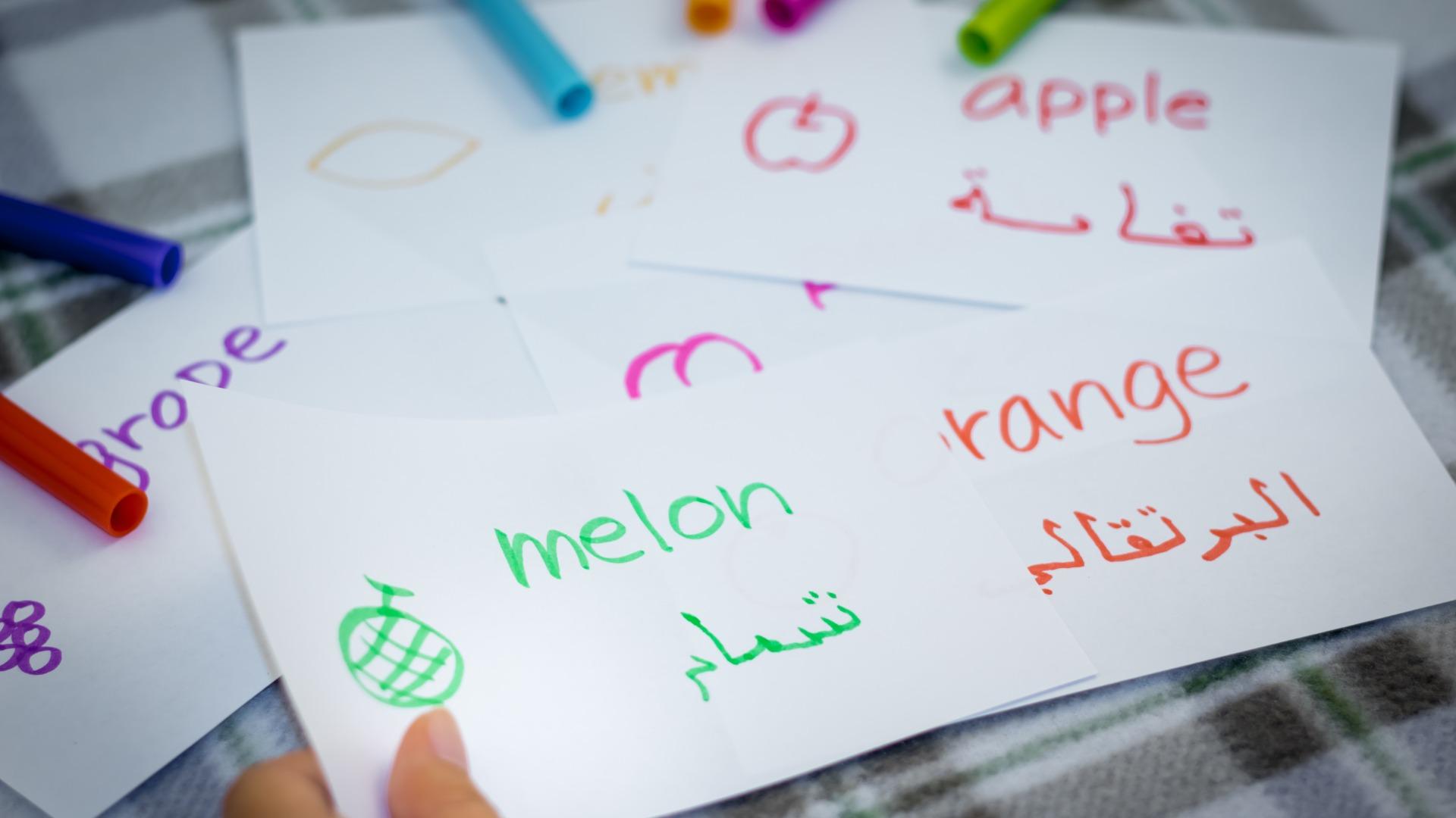 Apprendre la langue arabe avant un séjour au Maroc