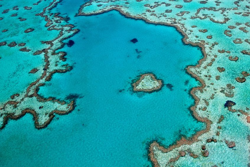 Prenez de la hauteur : survolez la Grande Barrière de Corail