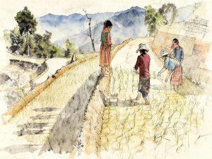 Communauté locale vietnamienne préservant ses traditions